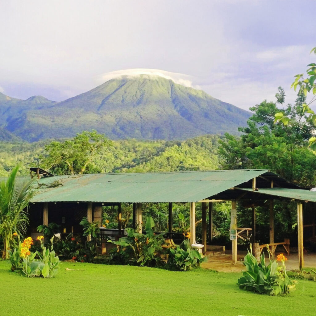 Tour cafe y cacao – 1