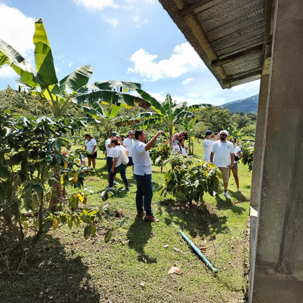 Tour cafe y cacao – 7