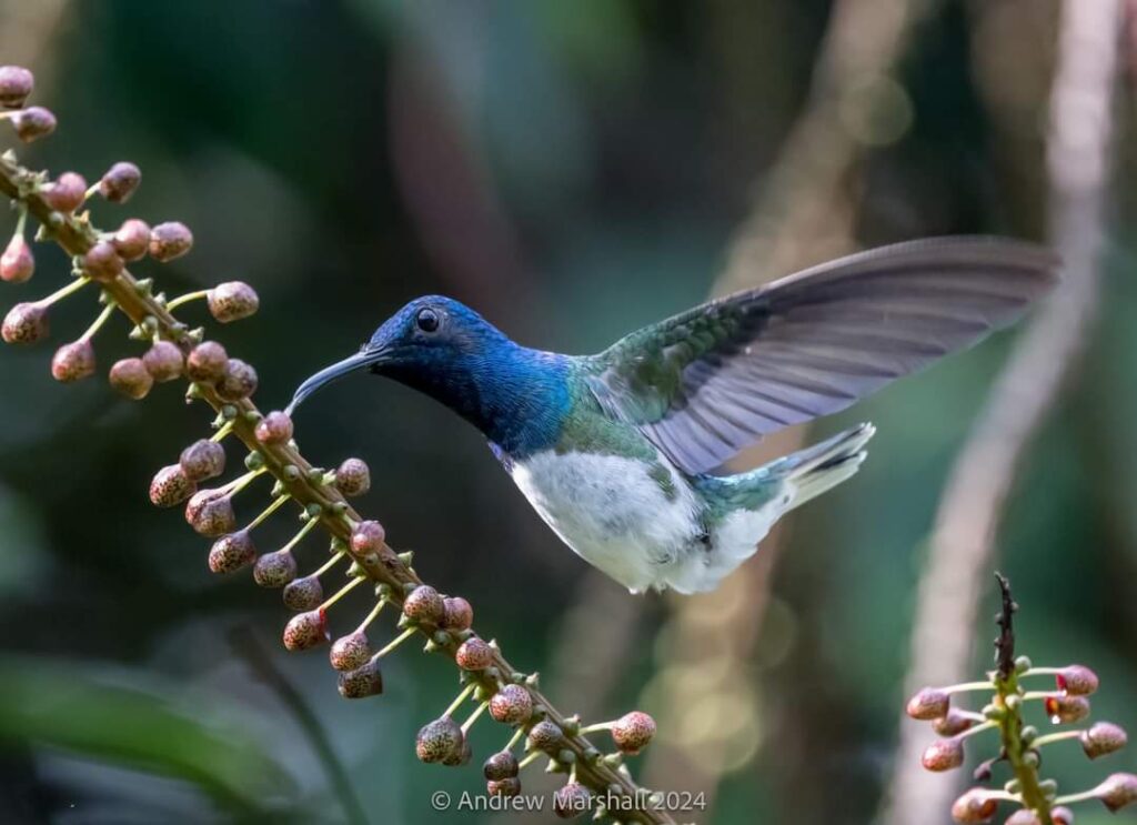 photo-2024-11-13-17-35-34-3