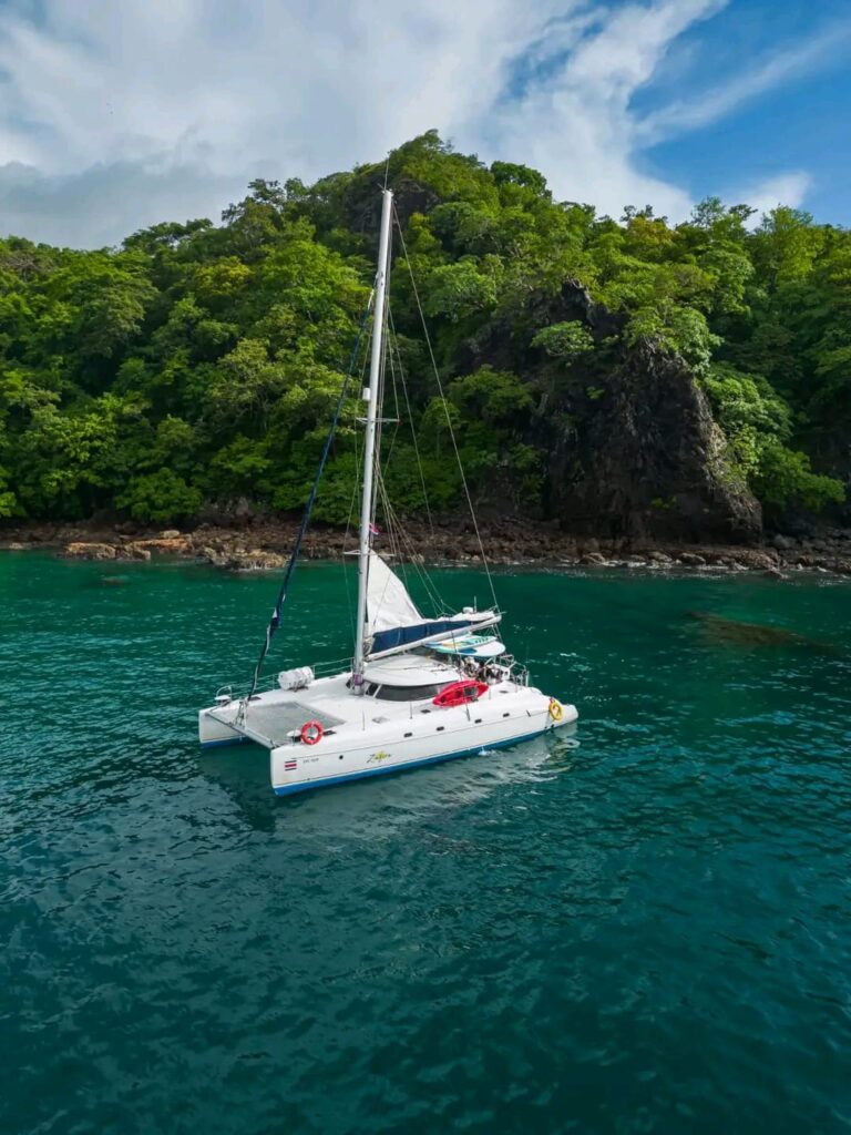 photo-2024-11-13-17-35-42-3